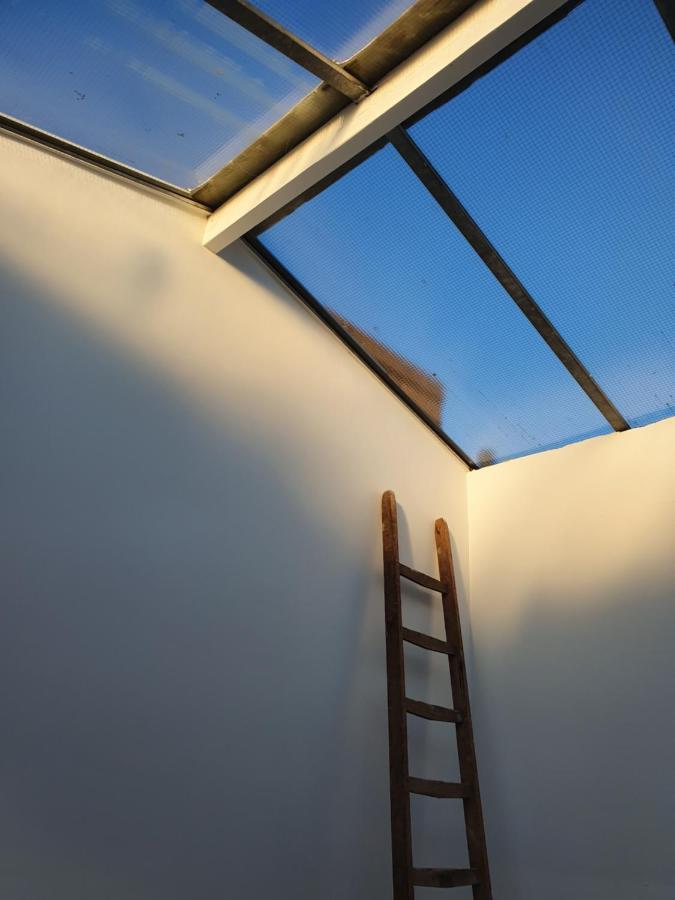 Bed Zonder Breakfast Leilighet Amsterdam Eksteriør bilde